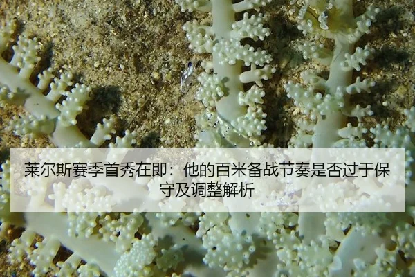 lai-er-si-sai-ji-shou-xiu-zai-ji-ta-de-bai-mi-bei-zhan-jie-zou-shi-fou-guo-yu-bao-shou-ji-tiao-zheng-jie-xi-2-841.jpg